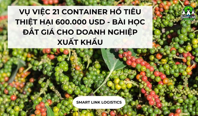 VỤ VIỆC 21 CONTAINER HỒ TIÊU THIỆT HẠI 600.000 USD – BÀI HỌC ĐẮT GIÁ CHO DOANH NGHIỆP XUẤT KHẨU