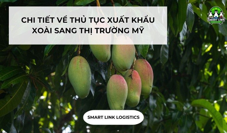 CHI TIẾT VỀ THỦ TỤC XUẤT KHẨU XOÀI SANG THỊ TRƯỜNG MỸ