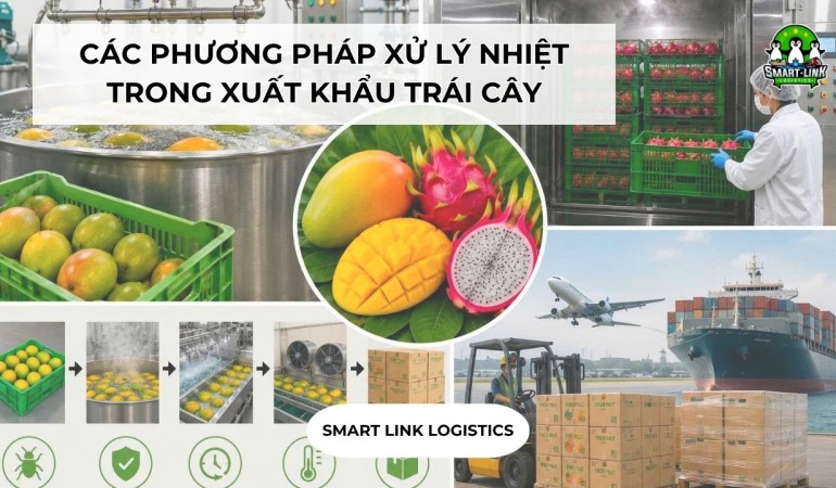 CÁC PHƯƠNG PHÁP XỬ LÝ NHIỆT TRONG XUẤT KHẨU TRÁI CÂY