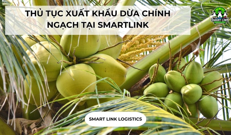 THỦ TỤC XUẤT KHẨU DỪA CHÍNH NGẠCH TẠI SMARTLINK