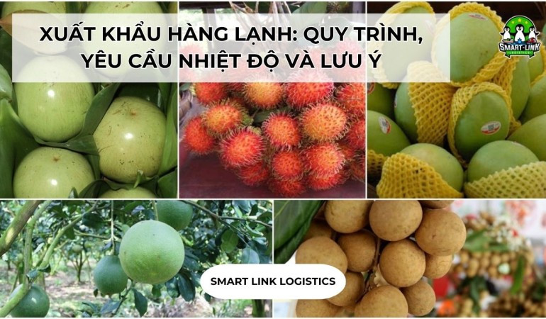 XUẤT KHẨU HÀNG LẠNH: QUY TRÌNH, YÊU CẦU NHIỆT ĐỘ VÀ LƯU Ý QUAN TRỌNG