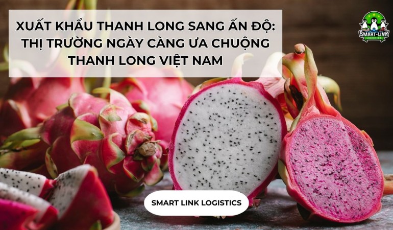 XUẤT KHẨU THANH LONG SANG ẤN ĐỘ: THỊ TRƯỜNG NGÀY CÀNG ƯA CHUỘNG THANH LONG VIỆT NAM