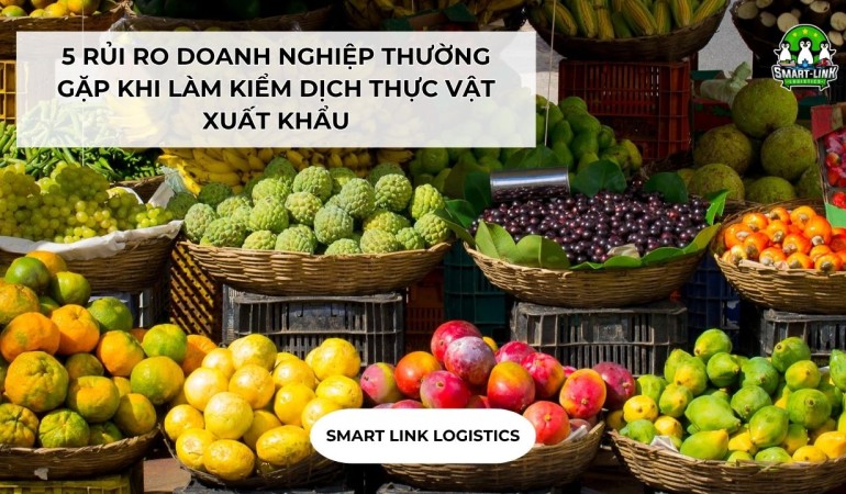 5 RỦI RO DOANH NGHIỆP THƯỜNG GẶP KHI LÀM KIỂM DỊCH THỰC VẬT XUẤT KHẨU