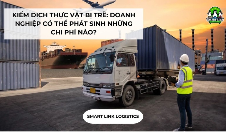 KIỂM DỊCH THỰC VẬT BỊ TRỄ: DOANH NGHIỆP CÓ THỂ PHÁT SINH NHỮNG CHI PHÍ NÀO?