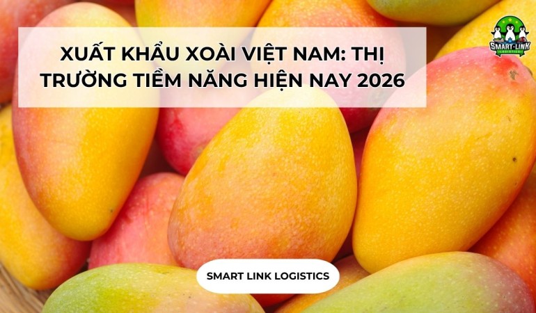 XUẤT KHẨU XOÀI VIỆT NAM: THỊ TRƯỜNG TIỀM NĂNG HIỆN NAY 2026