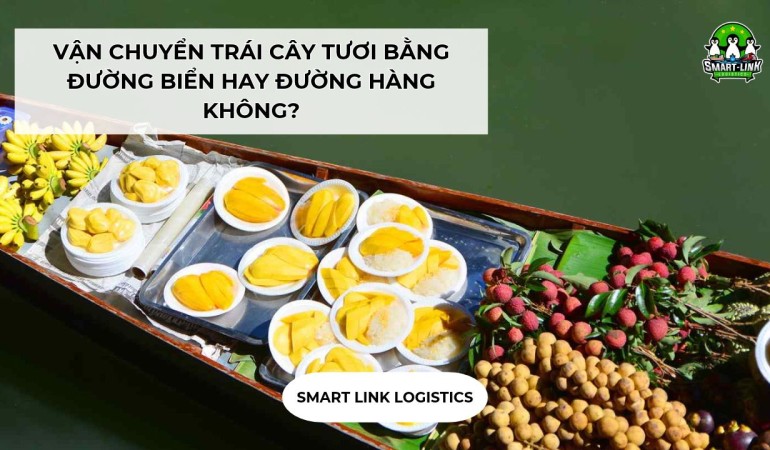 VẬN CHUYỂN TRÁI CÂY TƯƠI BẰNG ĐƯỜNG BIỂN HAY ĐƯỜNG HÀNG KHÔNG?