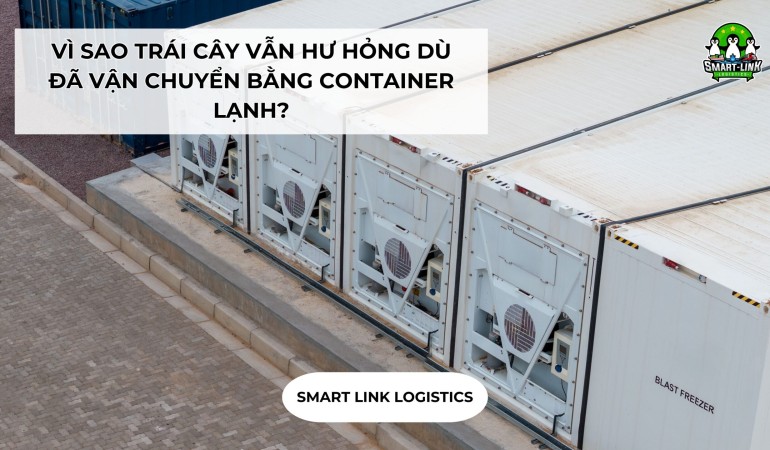 VÌ SAO TRÁI CÂY VẪN HƯ HỎNG DÙ ĐÃ VẬN CHUYỂN BẰNG CONTAINER LẠNH?