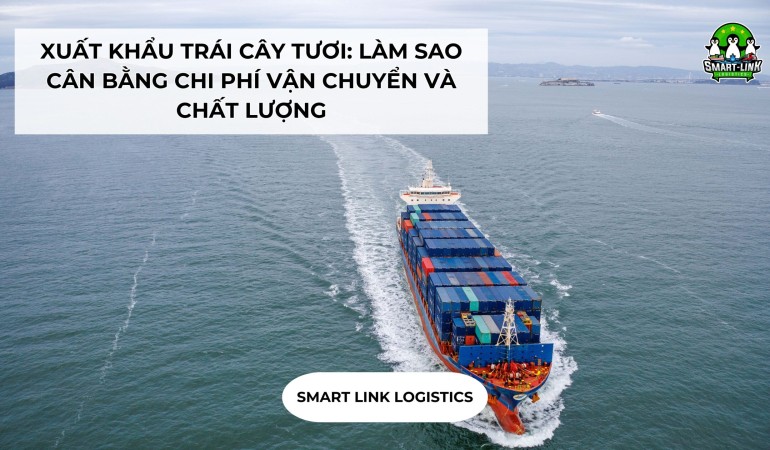 XUẤT KHẨU TRÁI CÂY TƯƠI: LÀM SAO CÂN BẰNG CHI PHÍ VẬN CHUYỂN VÀ CHẤT LƯỢNG