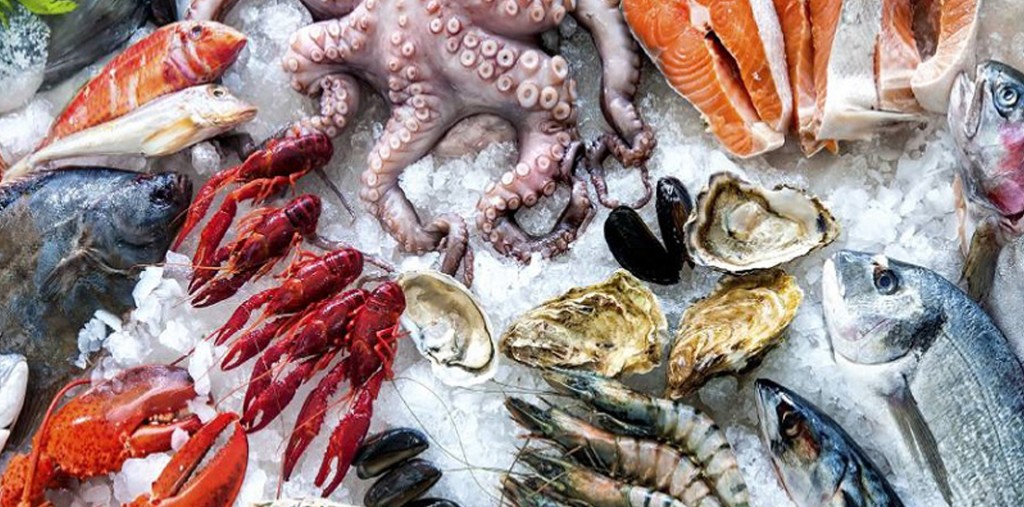 Logistics cho hàng thủy hải sản Việt xuất khẩu