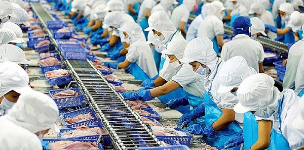 TP.HCM thu phí dịch vụ cảng, doanh nghiệp lo gánh nặng ‘phí chồng phí’