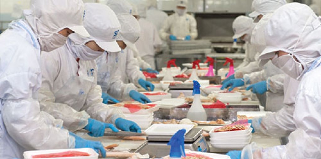 Xuất khẩu mực, bạch tuộc sang Mỹ tăng với tốc độ “phi mã”