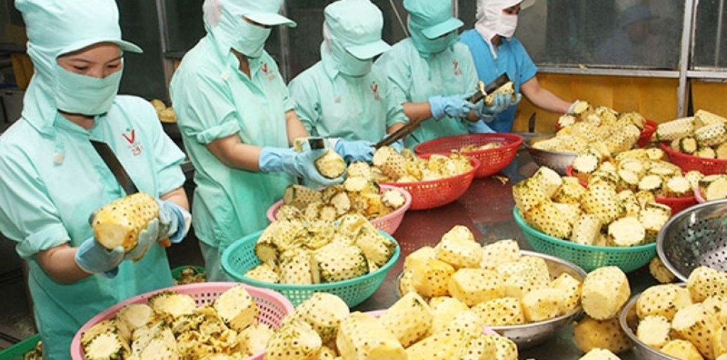 Hơn 1.000 mã nông sản, thực phẩm được phép xuất khẩu vào Trung Quốc