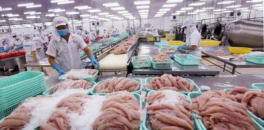 Xuất khẩu thủy sản bứt phá, nhiều mặt hàng tăng trưởng kỷ lục
