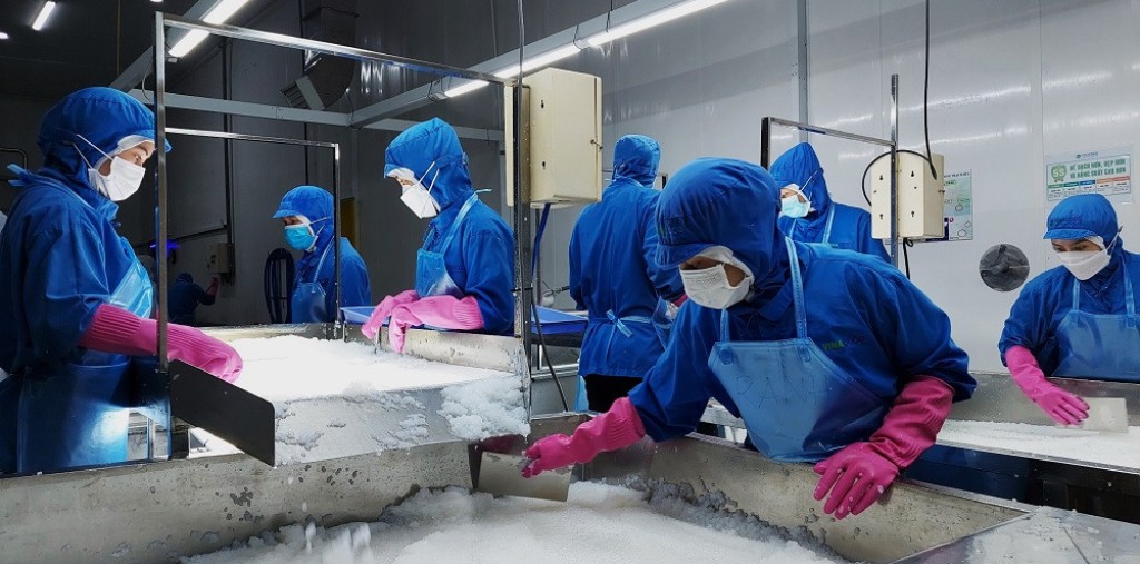 Vì 1 sợi tóc, hàng sang đến Nhật vẫn bị trả về