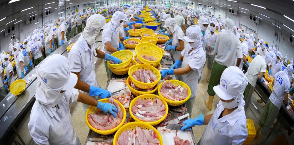 NHỮNG KHÓ KHĂN KHI THỦY HẢI SẢN VIỆT NAM XUẤT KHẨU VÀO EU