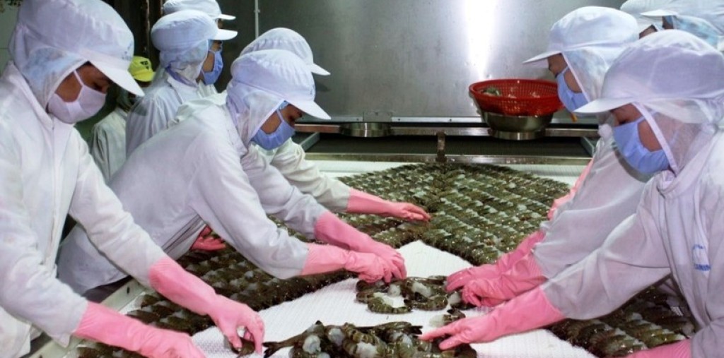 5 LOẠI BAO BÌ CHO MẶT HÀNG THỦY HẢI SẢN XUẤT KHẨU