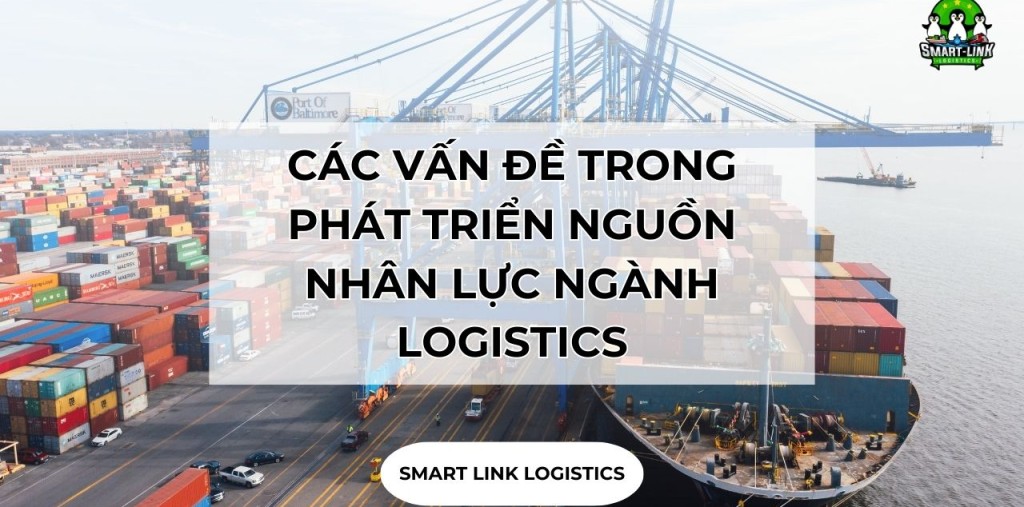 CÁC VẤN ĐỀ TRONG PHÁT TRIỂN NGUỒN NHÂN LỰC NGÀNH LOGISTICS