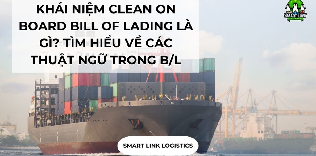 KHÁI NIỆM CLEAN ON BOARD BILL OF LADING LÀ GÌ? TÌM HIỂU VỀ CÁC THUẬT NGỮ TRONG B/L