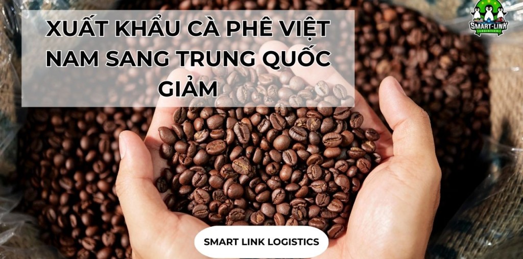 XUẤT KHẨU CÀ PHÊ VIỆT NAM SANG TRUNG QUỐC GIẢM