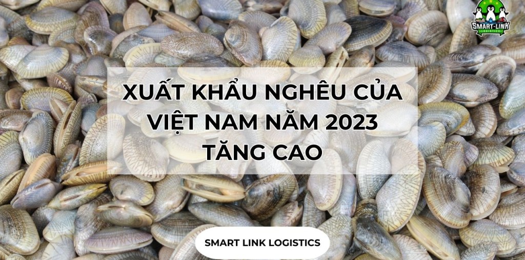 XUẤT KHẨU NGHÊU CỦA VIỆT NAM NĂM 2023 TĂNG CAO