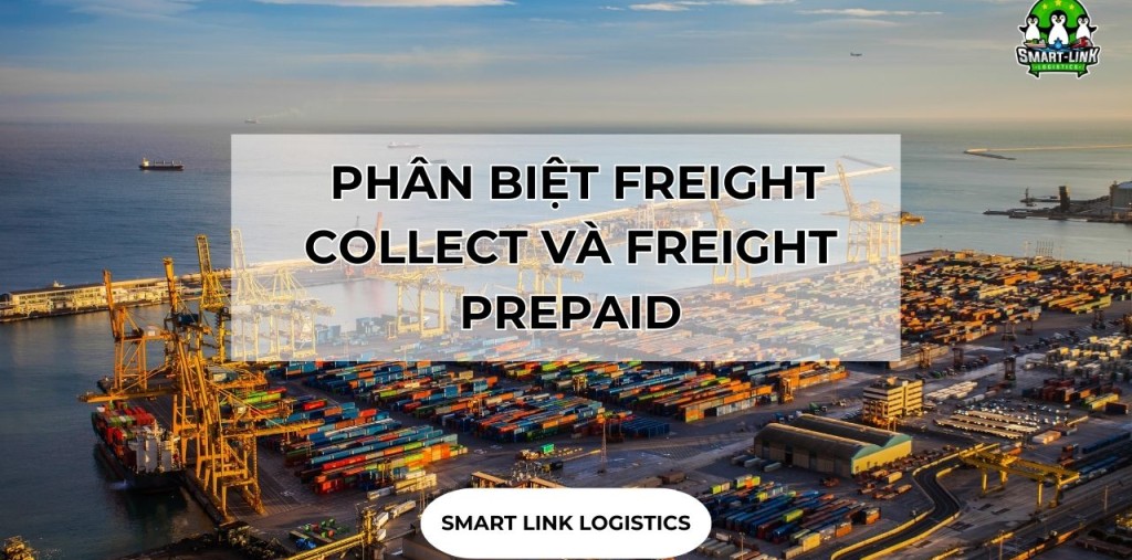 FREIGHT COLLECT LÀ GÌ? PHÂN BIỆT FREIGHT COLLECT VÀ FREIGHT PREPAID