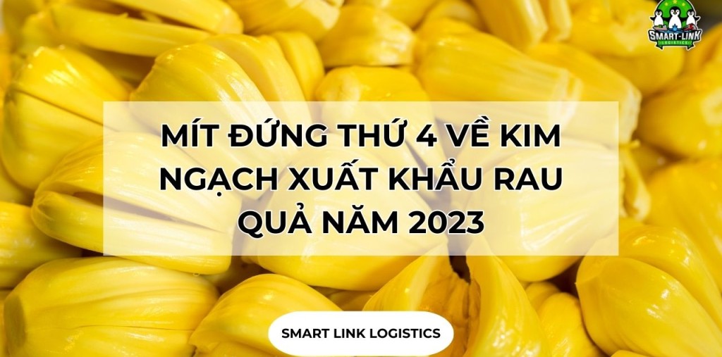 MÍT ĐỨNG THỨ 4 VỀ KIM NGẠCH XUẤT KHẨU RAU QUẢ NĂM 2023