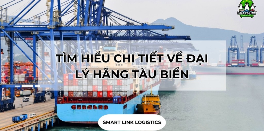 TÌM HIỂU CHI TIẾT VỀ ĐẠI LÝ HÃNG TÀU BIỂN