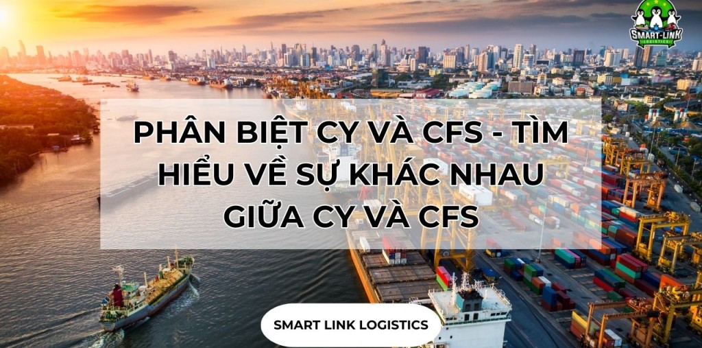 PHÂN BIỆT CY VÀ CFS – TÌM HIỂU VỀ SỰ KHÁC NHAU GIỮA CY VÀ CFS