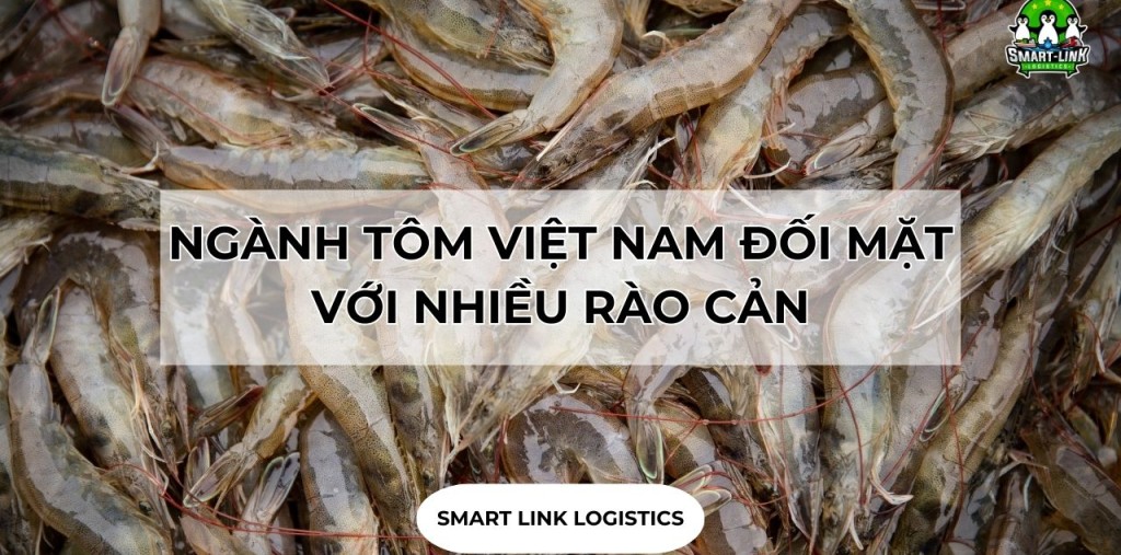 NGÀNH TÔM VIỆT NAM ĐỐI MẶT VỚI NHIỀU RÀO CẢN