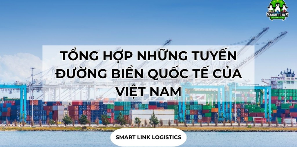 TỔNG HỢP NHỮNG TUYẾN ĐƯỜNG BIỂN QUỐC TẾ CỦA VIỆT NAM