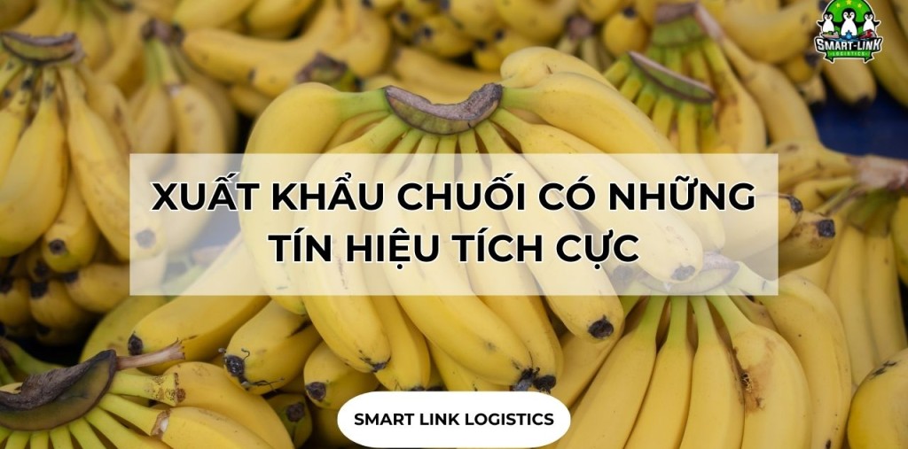 XUẤT KHẨU CHUỐI CÓ NHỮNG TÍN HIỆU TÍCH CỰC