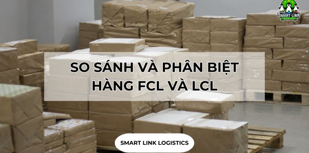 SO SÁNH VÀ PHÂN BIỆT HÀNG FCL VÀ LCL