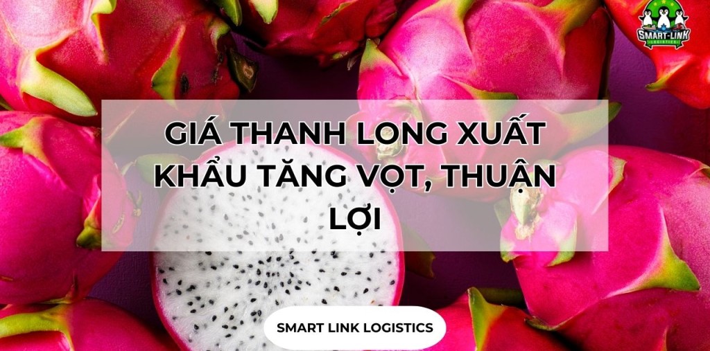 GIÁ THANH LONG XUẤT KHẨU TĂNG VỌT, THUẬN LỢI