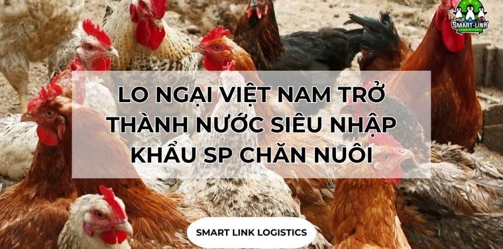 LO NGẠI VIỆT NAM SẼ TRỞ THÀNH NƯỚC SIÊU NHẬP KHẨU CÁC SẢN PHẨM CHĂN NUÔI