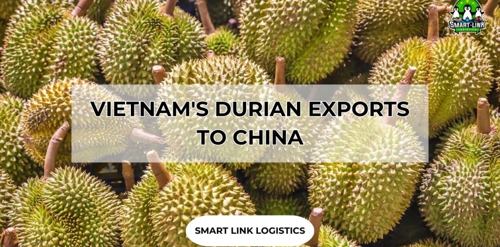 VIETNAM’S DURIAN EXPORTS TO CHINA