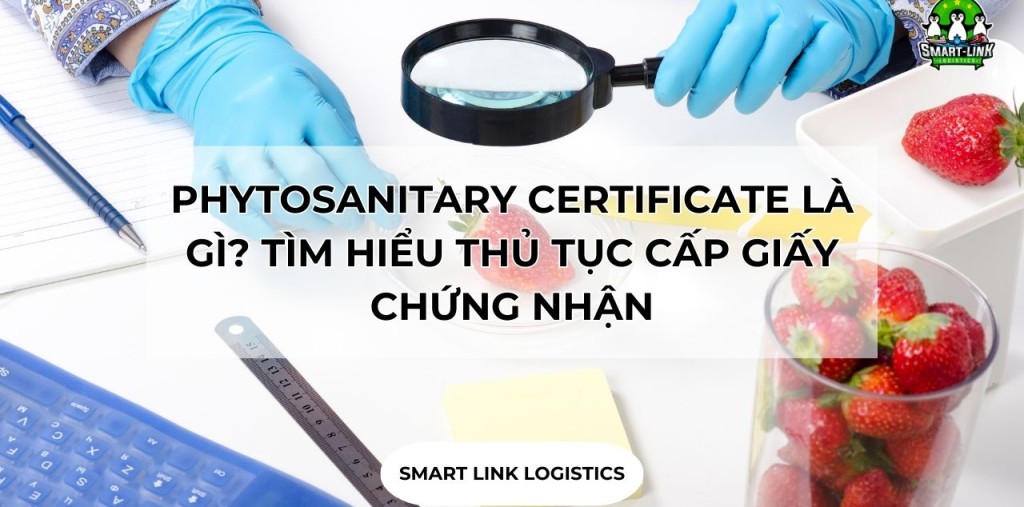 PHYTOSANITARY CERTIFICATE LÀ GÌ? TÌM HIỂU THỦ TỤC CẤP GIẤY CHỨNG NHẬN