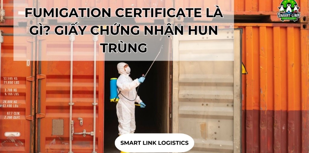 FUMIGATION CERTIFICATE LÀ GÌ? GIẤY CHỨNG NHẬN HUN TRÙNG