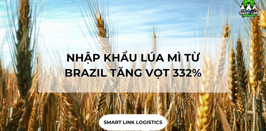 NHẬP KHẨU LÚA MÌ TỪ BRAZIL TĂNG VỌT 332%