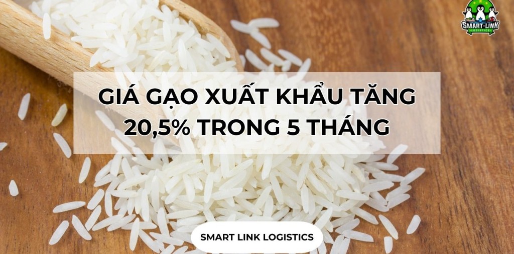 GIÁ GẠO XUẤT KHẨU TĂNG 20,5% TRONG 5 THÁNG