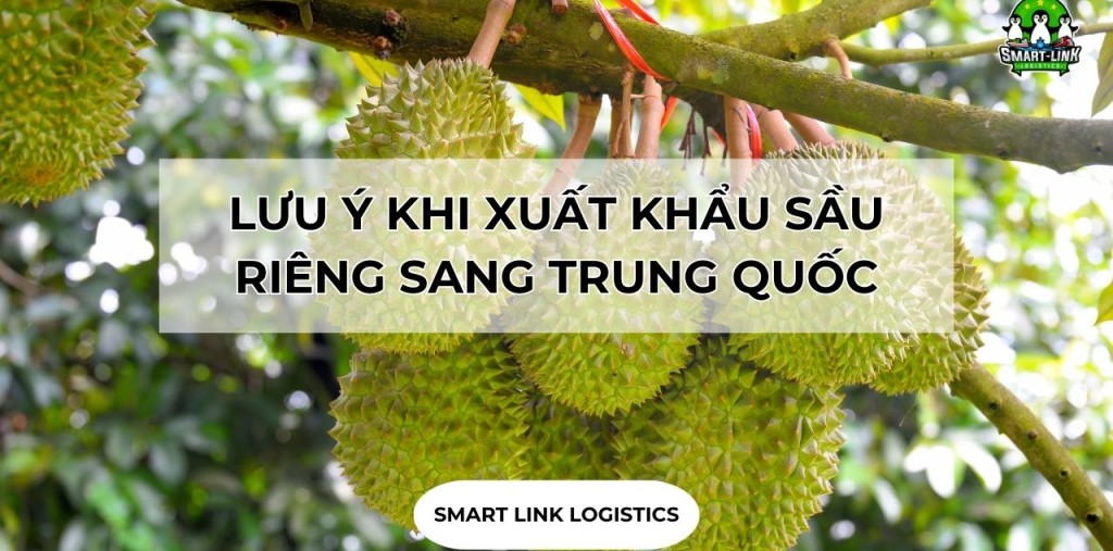 LƯU Ý KHI XUẤT KHẨU SẦU RIÊNG SANG TRUNG QUỐC