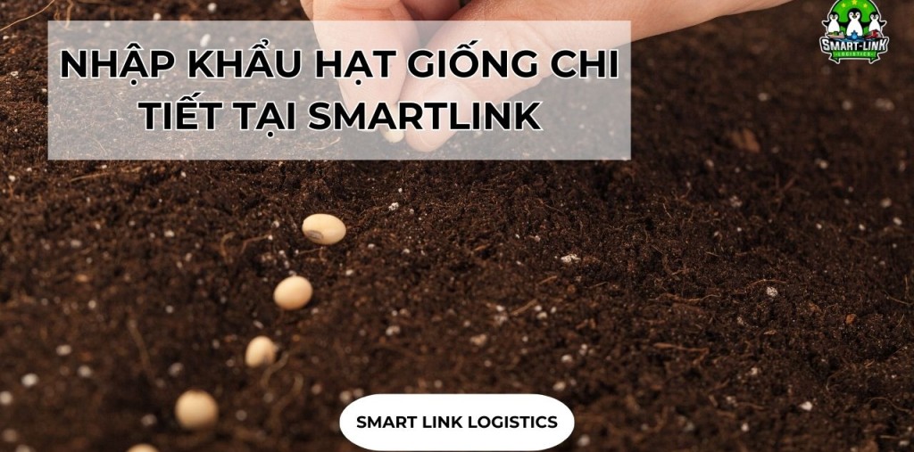 NHẬP KHẨU HẠT GIỐNG CHI TIẾT TẠI SMARTLINK