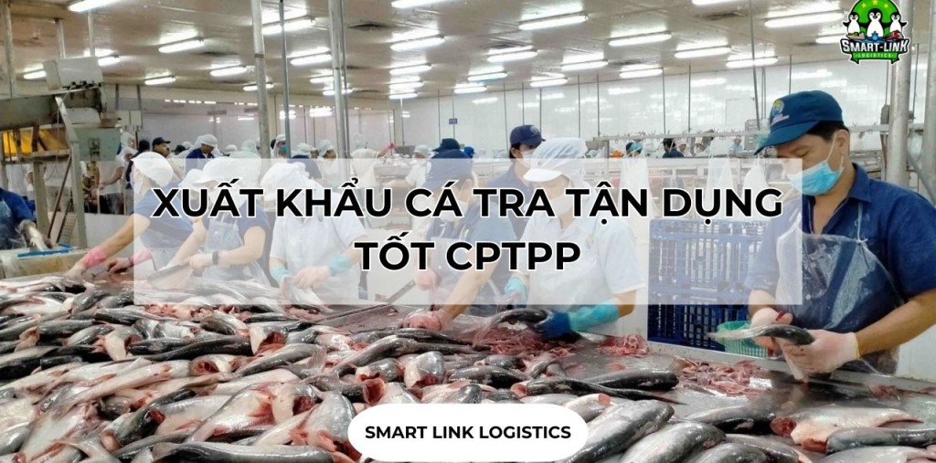 XUẤT KHẨU CÁ TRA TẬN DỤNG TỐT CPTPP