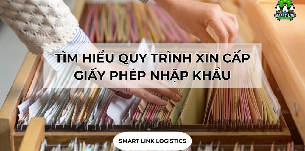 TÌM HIỂU QUY TRÌNH XIN CẤP GIẤY PHÉP NHẬP KHẨU