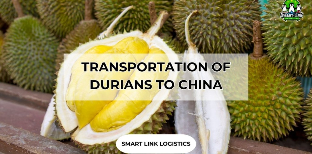 TRANSPORTATION OF DURIANS TO CHINA