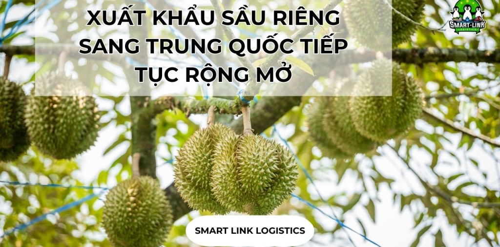 XUẤT KHẨU SẦU RIÊNG SANG TRUNG QUỐC TIẾP TỤC RỘNG MỞ