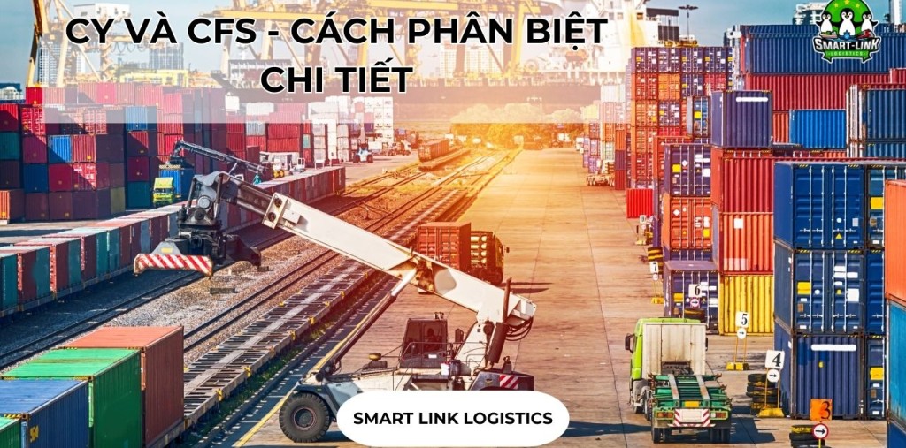 CY VÀ CFS – CÁCH PHÂN BIỆT CHI TIẾT