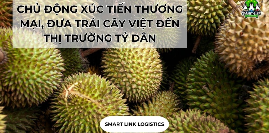 CHỦ ĐỘNG XÚC TIẾN THƯƠNG MẠI, ĐƯA TRÁI CÂY VIỆT ĐẾN THỊ TRƯỜNG TỶ DÂN