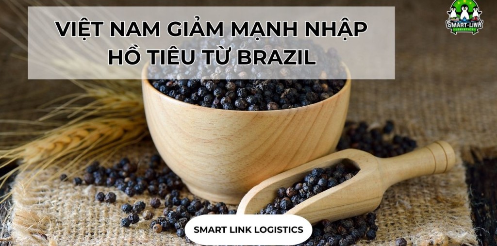 VIỆT NAM GIẢM MẠNH NHẬP HỒ TIÊU TỪ BRAZIL