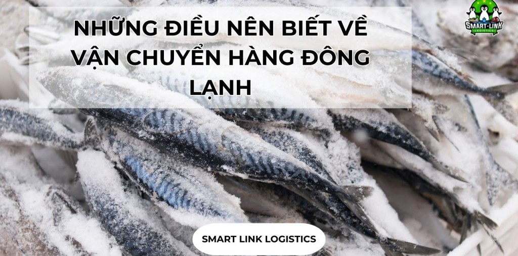 NHỮNG ĐIỀU NÊN BIẾT VỀ VẬN CHUYỂN HÀNG ĐÔNG LẠNH