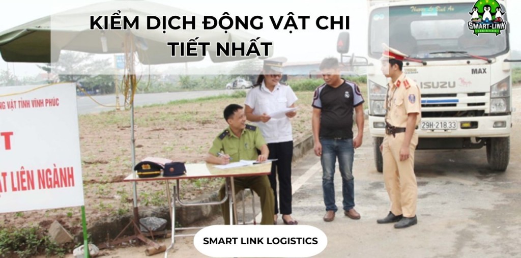 KIỂM DỊCH ĐỘNG VẬT CHI TIẾT NHẤT